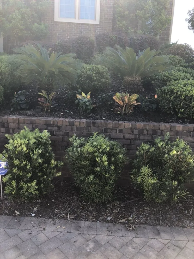 Trusted outdoor landscaping for year-round maintenance in Columbia, SC by Top Notch Lawns