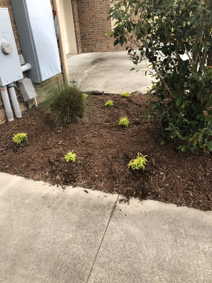 Top-rated lawn mowing service in Columbia, SC - Top Notch Lawns