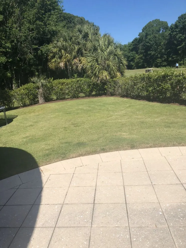 Professional lawn mowing service in Columbia, SC by Top Notch Lawns