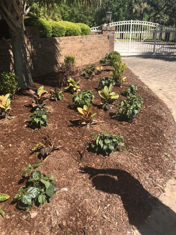 Top-rated yard cleanup service for outdoor upgrades across Columbia, SC - Top Notch Lawns