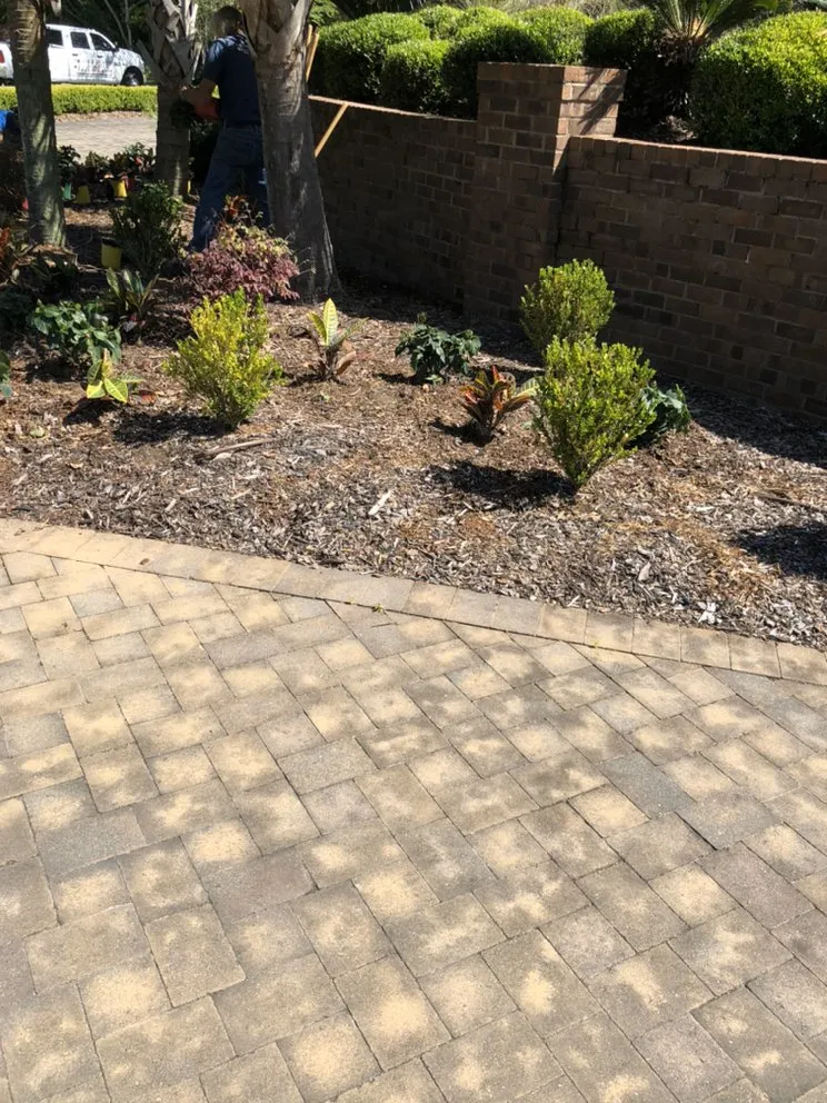 Top-rated yard cleanup service for year-round maintenance in Columbia, SC by Top Notch Lawns