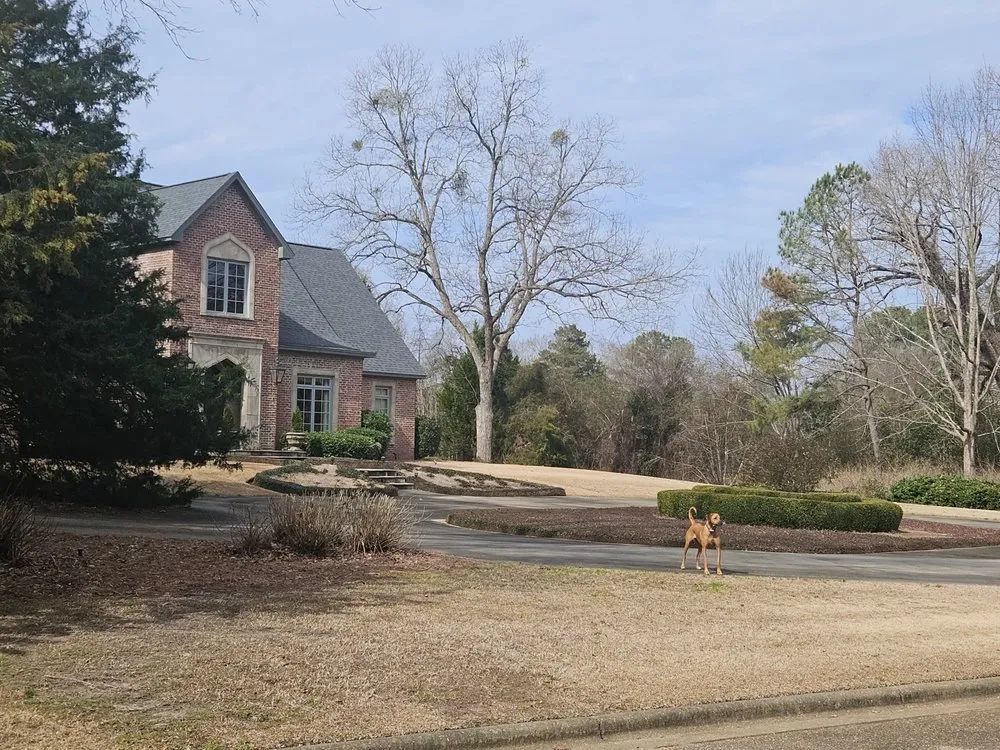 Local garden landscaping in Montgomery, AL - Top Notch Lawns