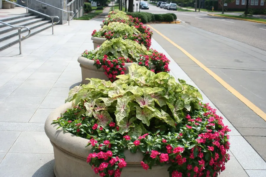 Top-rated lawn mowing service for homes across Montgomery, AL - Top Notch Lawns