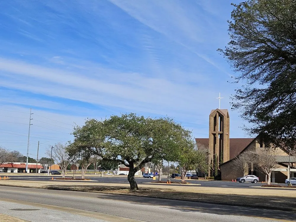 Trusted yard cleanup service experts serving Montgomery, AL - Top Notch Lawns