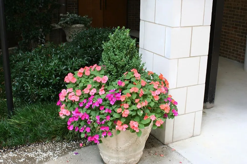 Reliable lawn care service in Montgomery, AL - Top Notch Lawns