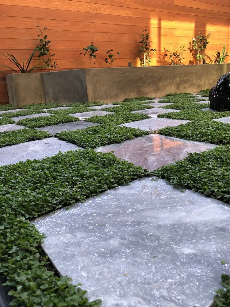 Top-rated lawn care service in Mission Viejo, CA - Top Notch