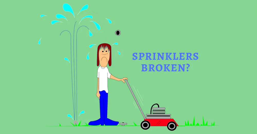 Professional garden landscaping in Mission Viejo, CA by Top Notch