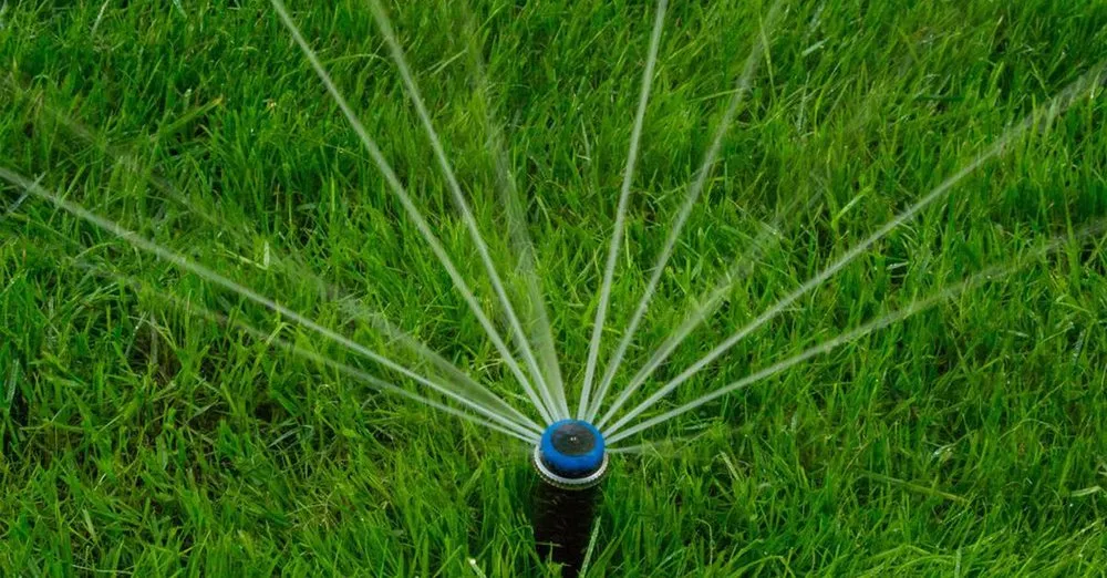 Top-rated yard maintenance experts serving Mission Viejo, CA - Top Notch