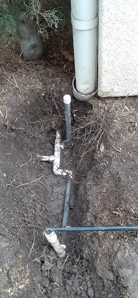 Custom outdoor landscaping for homes across Mission Viejo, CA - Top Notch