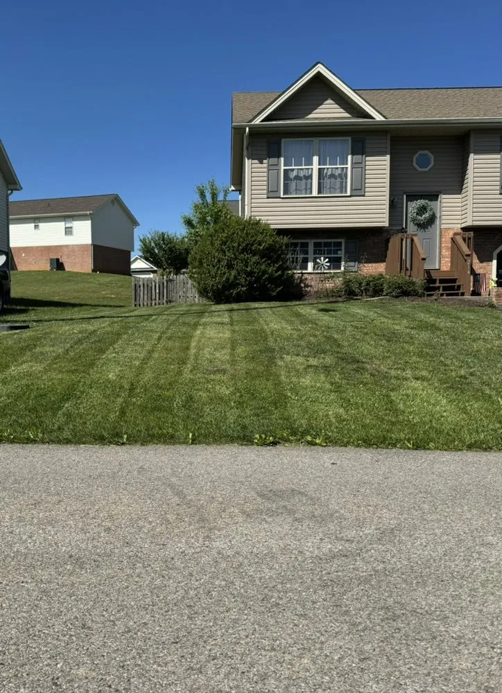 Top-rated yard cleanup service experts serving Jonesborough, TN - Top Notch Mobile