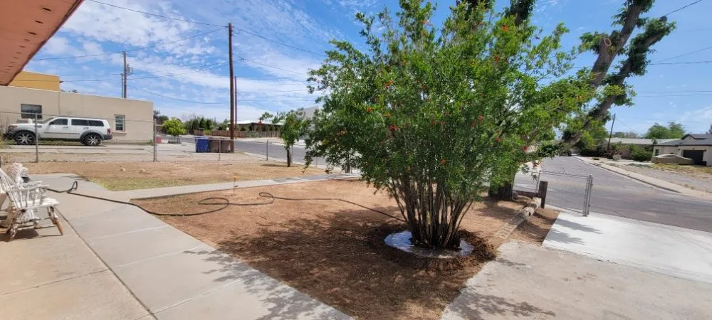 Custom landscaping services in Las Cruces, NM by Top Notch Professionals