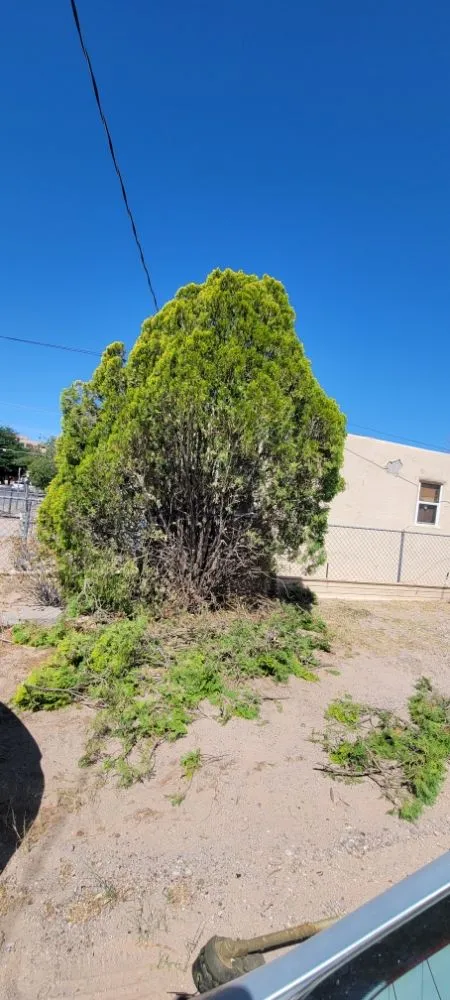 Expert garden landscaping in Las Cruces, NM - Top Notch Professionals