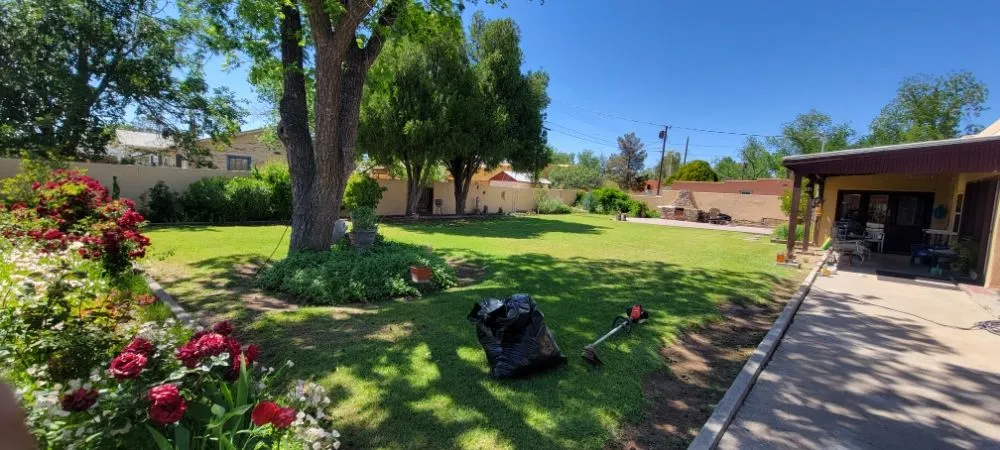 Affordable lawn mowing service in Las Cruces, NM by Top Notch Professionals