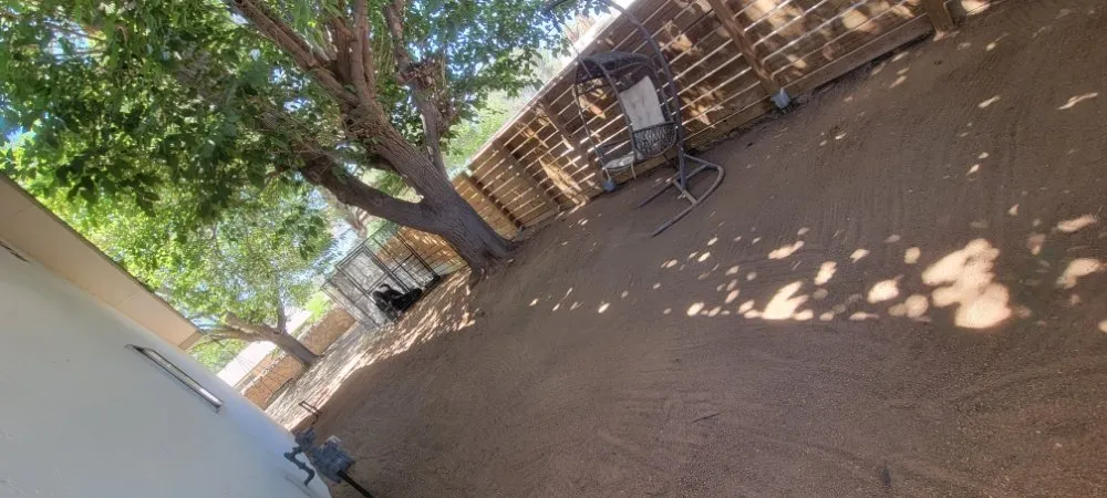 Reliable yard cleanup service in Las Cruces, NM by Top Notch Professionals