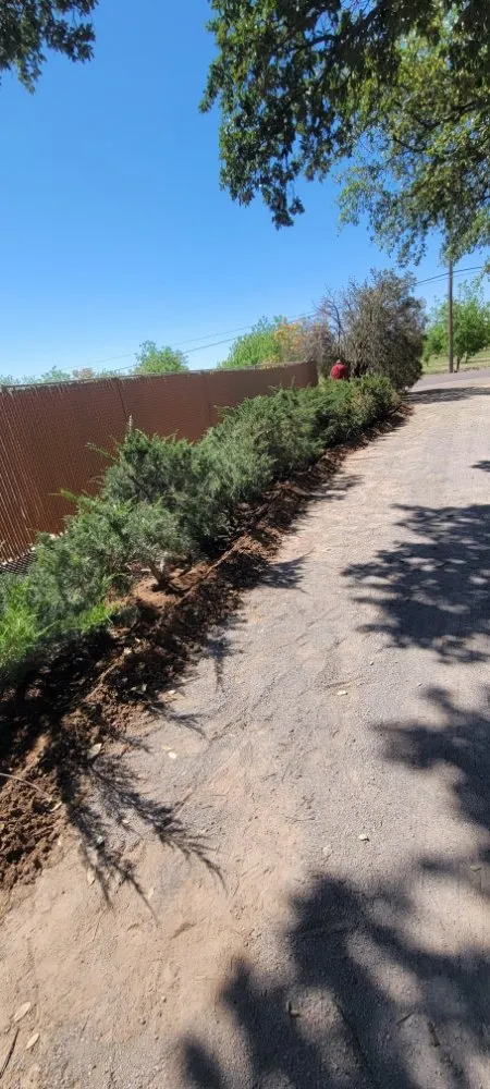 Reliable residential landscaping in Las Cruces, NM by Top Notch Professionals