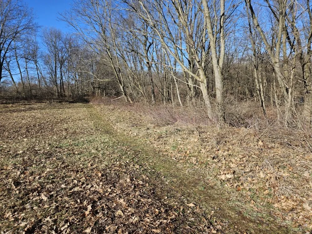 Professional yard maintenance for year-round maintenance across Cazenovia, WI - Top Notch Property Care