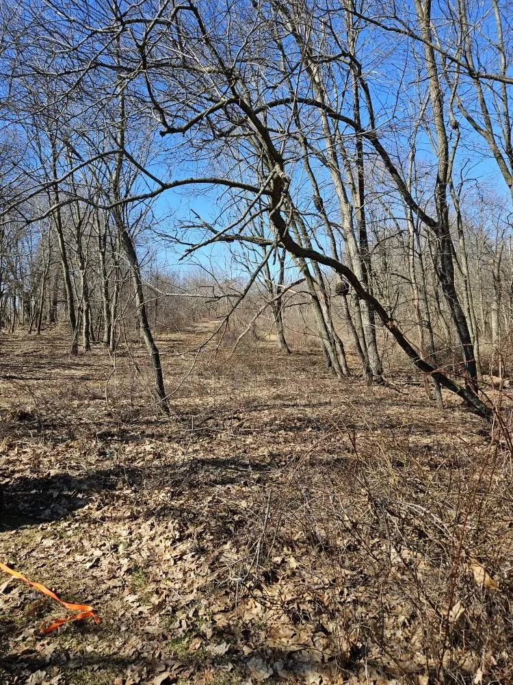 Top-rated landscape installation for residential properties in Cazenovia, WI by Top Notch Property Care