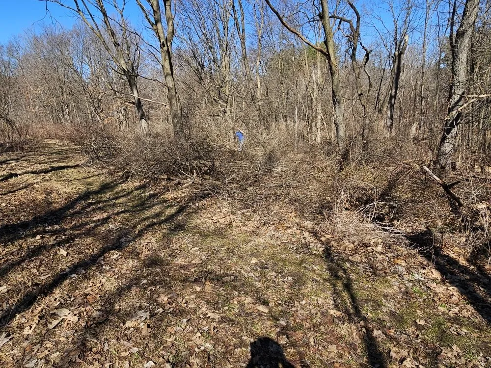 Custom yard maintenance for homes in Cazenovia, WI by Top Notch Property Care
