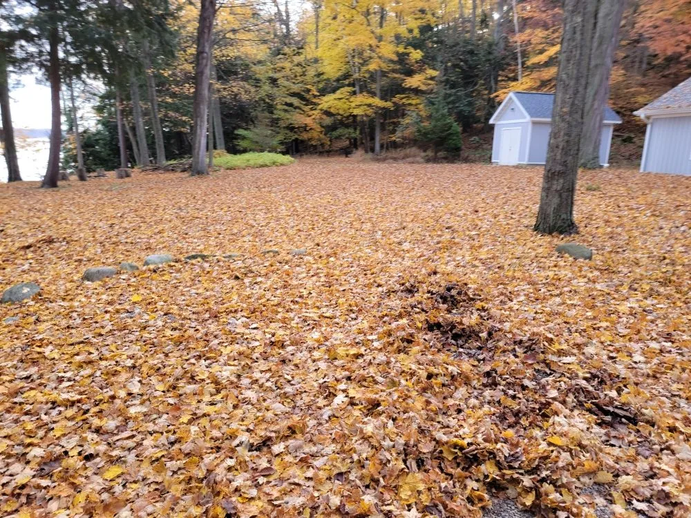 Reliable yard maintenance for beautiful yards in Honor, MI by Top Notch Property Maintenance Services