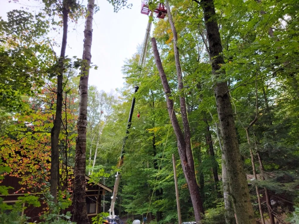 Top-rated garden landscaping experts serving Honor, MI - Top Notch Property Maintenance Services