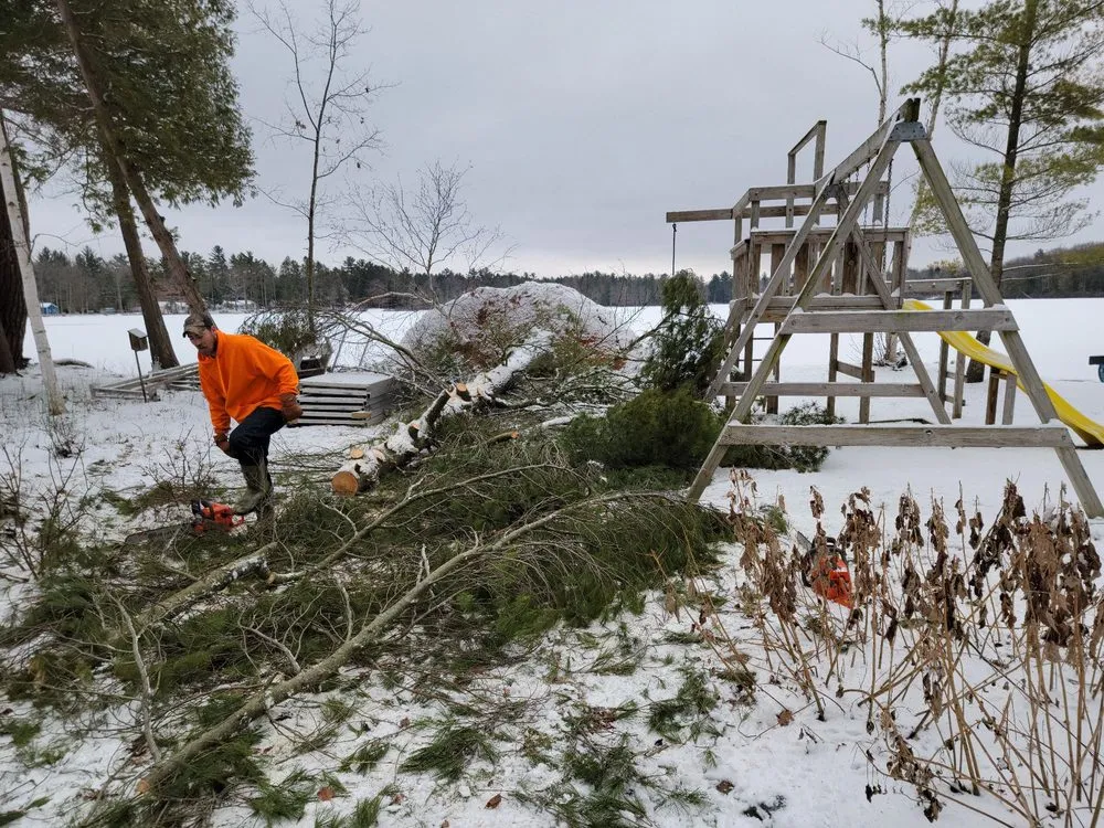 Professional landscaping services for homes across Honor, MI - Top Notch Property Maintenance Services