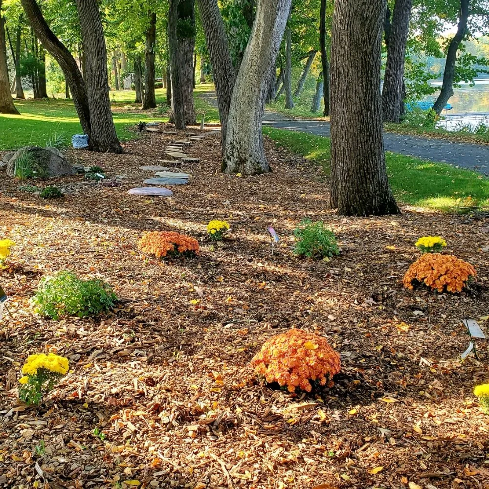 Affordable landscape installation for residential properties in Richfield, MN by Top Notch Property Management Services