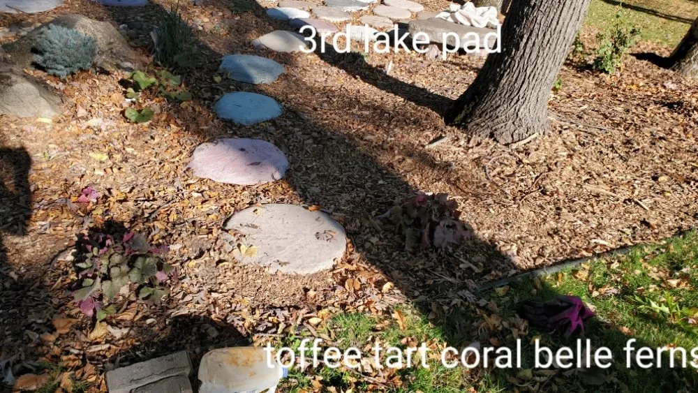 Custom garden landscaping in Richfield, MN - Top Notch Property Management Services