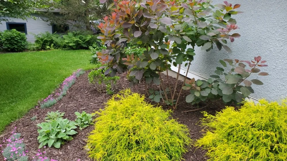 Custom landscape design experts serving Richfield, MN - Top Notch Property Management Services