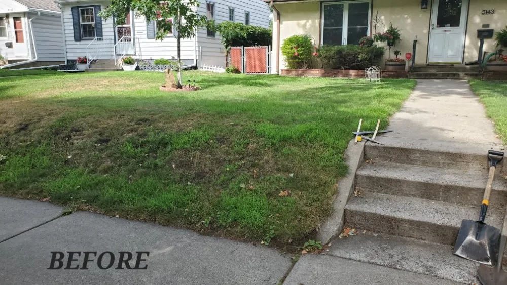 Expert landscape installation in Richfield, MN - Top Notch Property Management Services