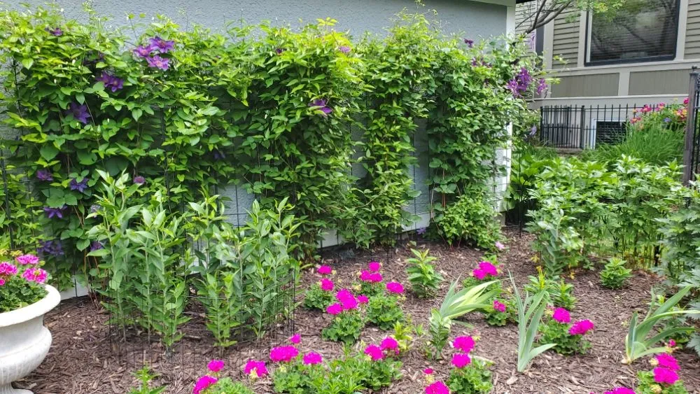 Custom garden landscaping experts serving Richfield, MN - Top Notch Property Management Services