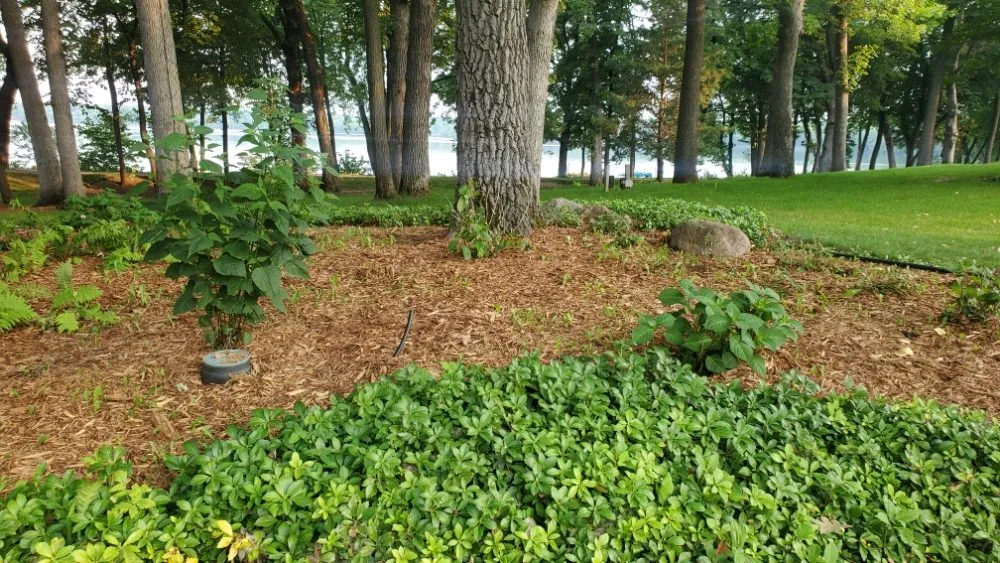 Top-rated landscaping services in Richfield, MN - Top Notch Property Management Services