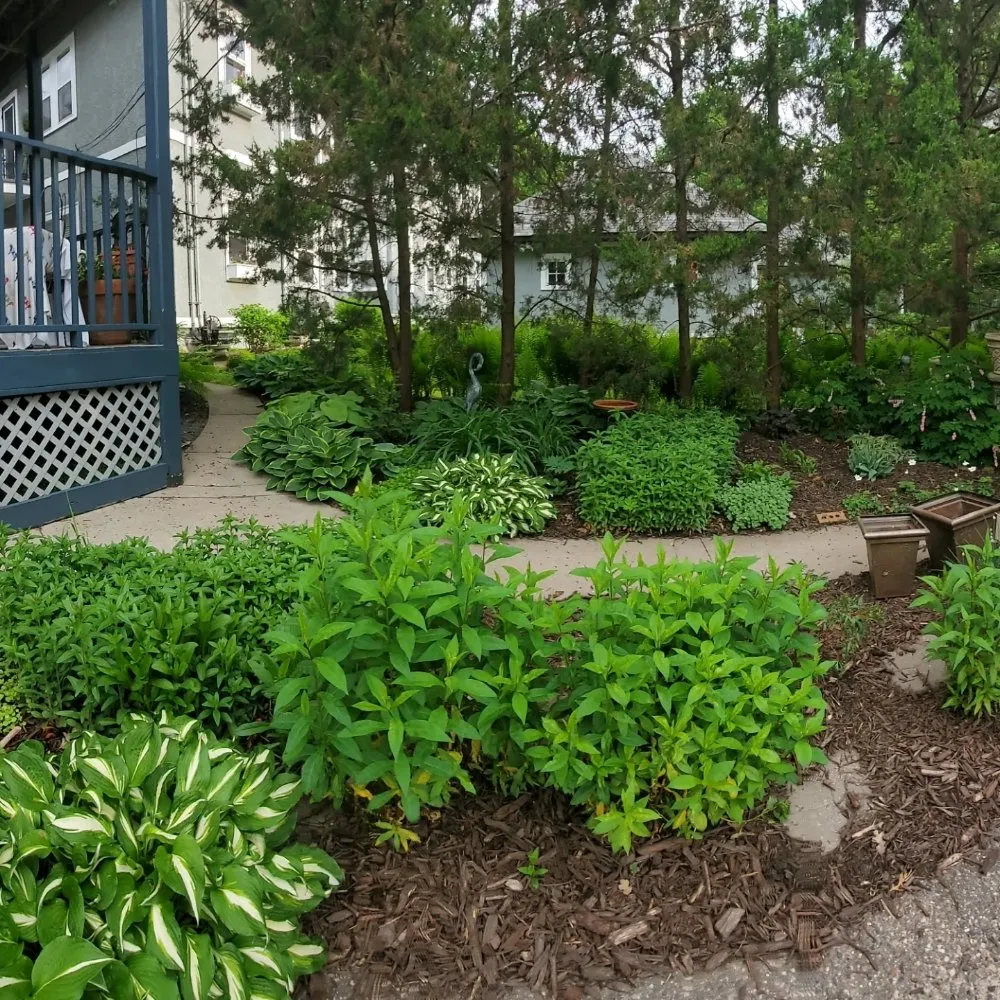 Expert landscape design in Richfield, MN by Top Notch Property Management Services