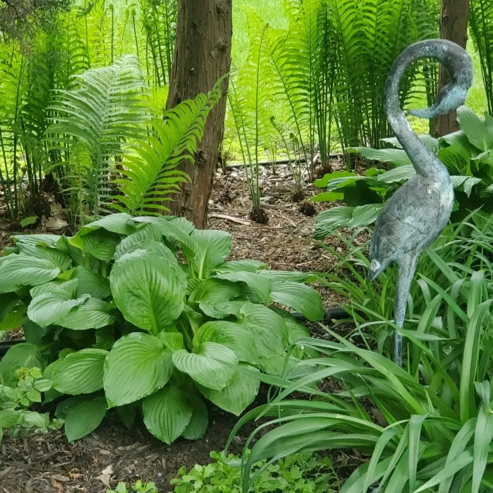 Trusted residential landscaping with custom design in Richfield, MN by Top Notch Property Management Services