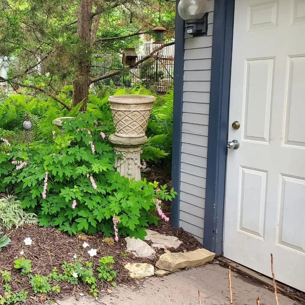 Expert landscape installation near you in Richfield, MN by Top Notch Property Management Services