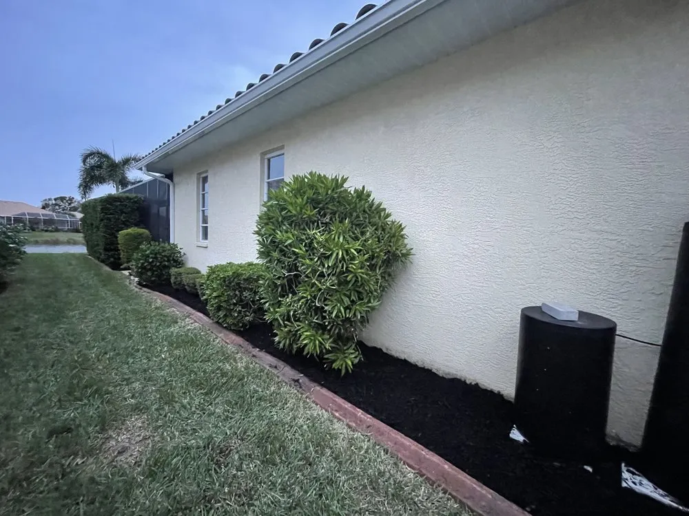 Top-rated yard cleanup service in Bradenton, FL - Top Notch Quality Tree Care