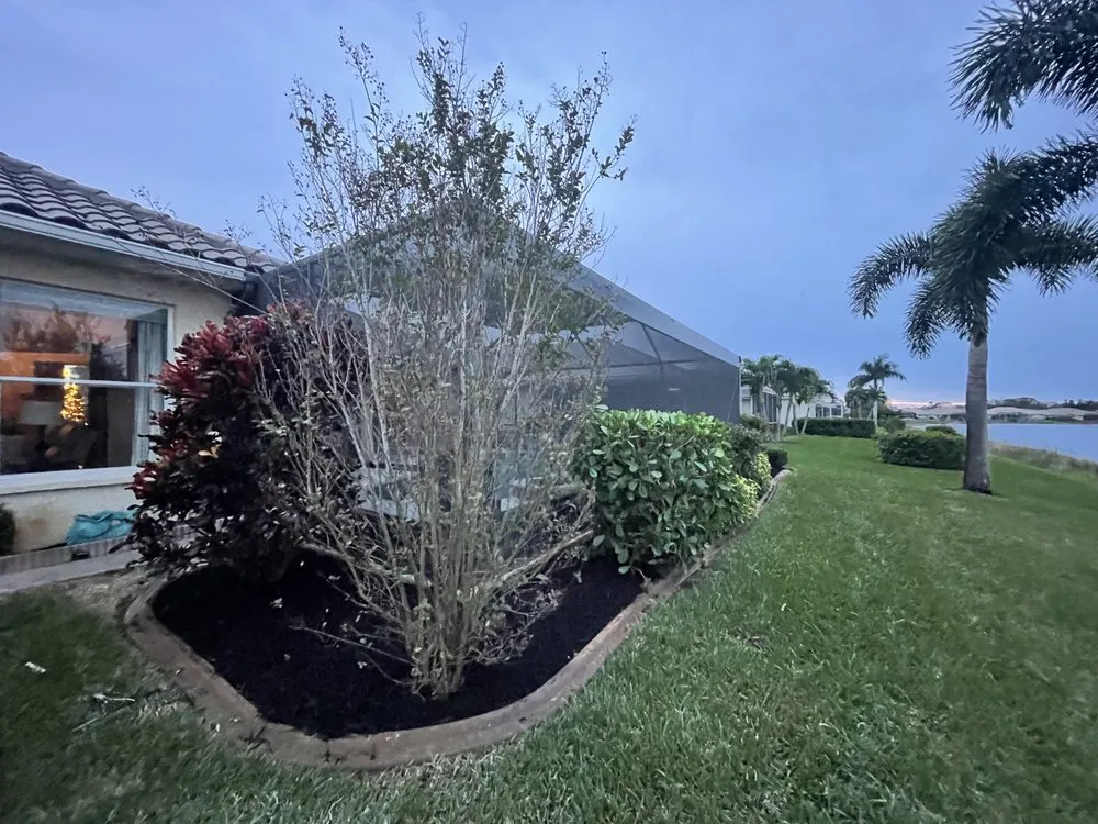 Affordable yard cleanup service for residential properties in Bradenton, FL by Top Notch Quality Tree Care