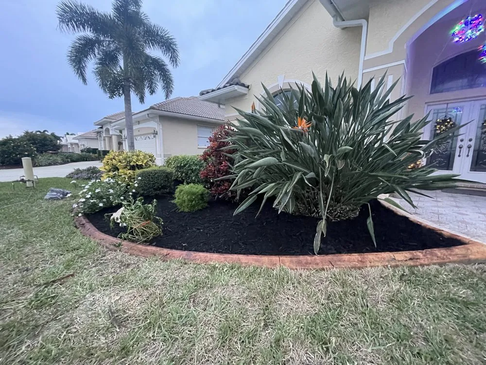 Professional yard cleanup service for outdoor upgrades in Bradenton, FL by Top Notch Quality Tree Care