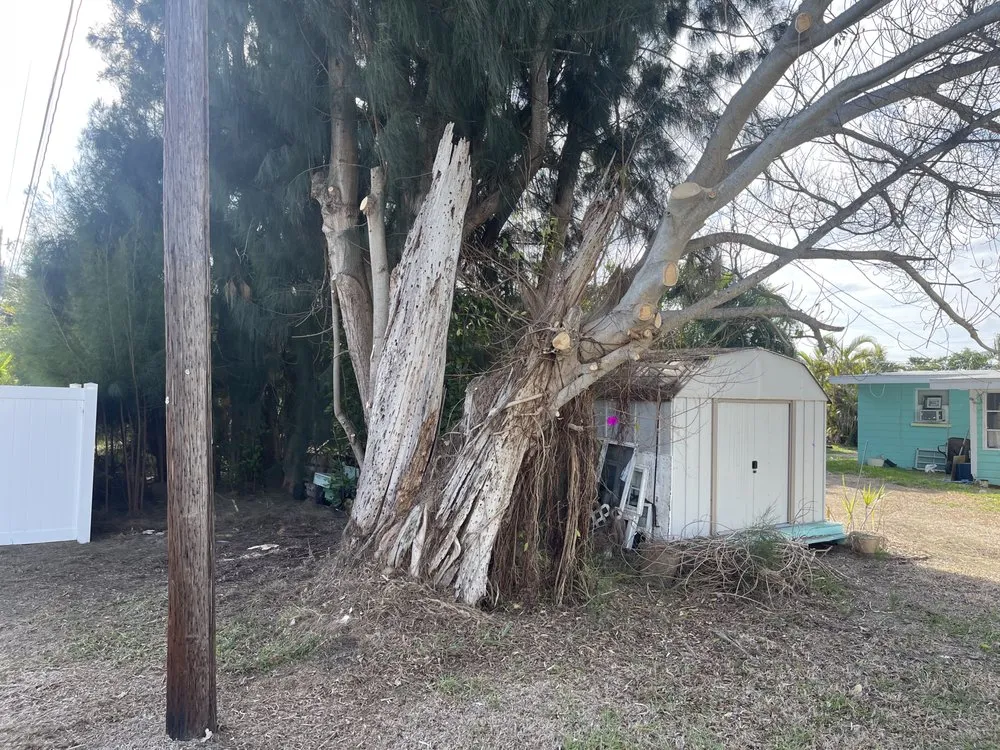 Expert landscape installation in Bradenton, FL - Top Notch Quality Tree Care