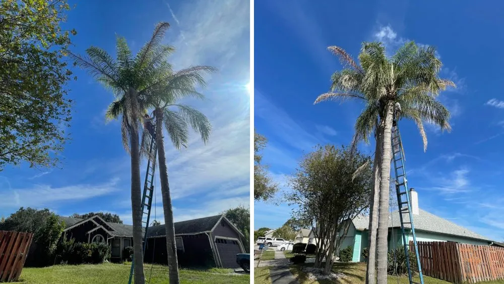 Trusted lawn care service for homes across Bradenton, FL - Top Notch Quality Tree Care