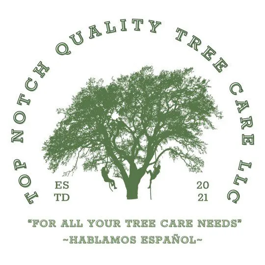 Local lawn mowing service experts serving Bradenton, FL - Top Notch Quality Tree Care