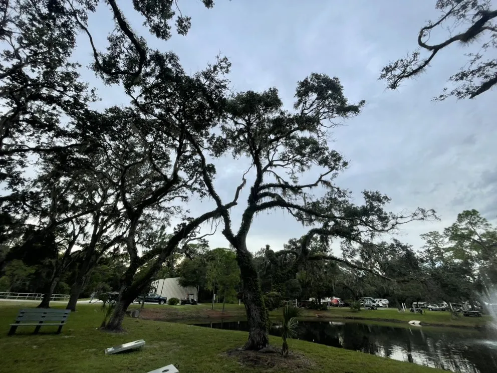 Reliable landscape installation experts serving Bradenton, FL - Top Notch Quality Tree Care