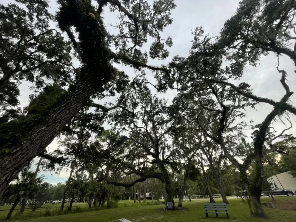 Reliable lawn mowing service for homes across Bradenton, FL - Top Notch Quality Tree Care