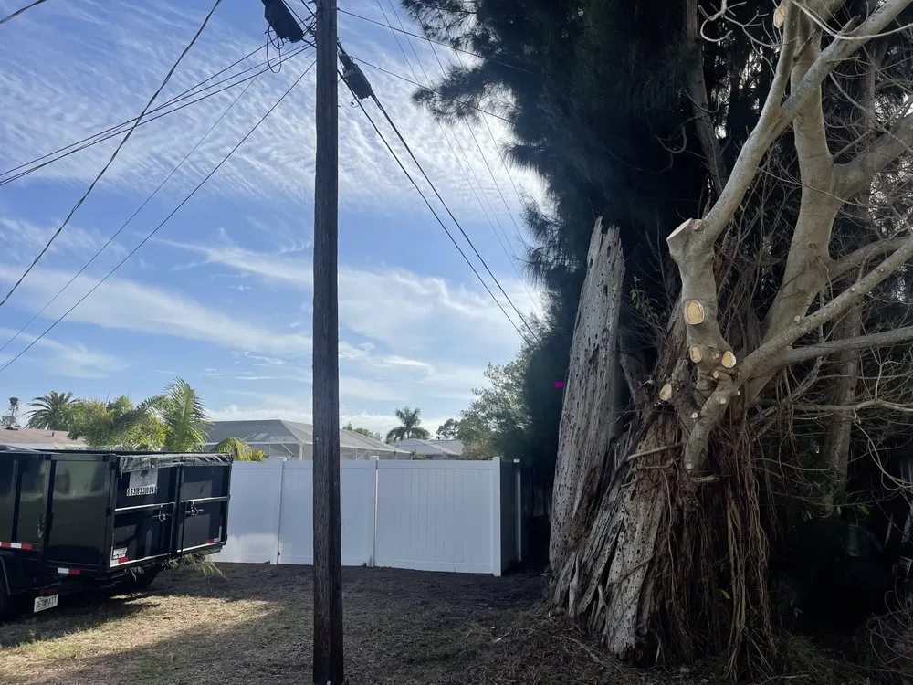 Reliable yard maintenance experts serving Bradenton, FL - Top Notch Quality Tree Care