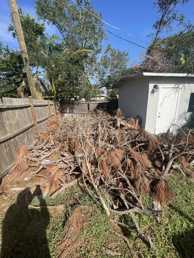 Reliable residential landscaping with custom design across Bradenton, FL - Top Notch Quality Tree Care