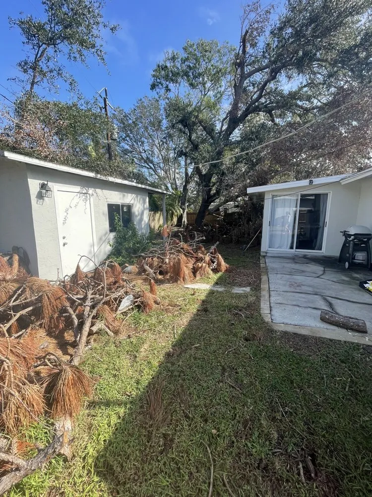 Custom yard cleanup service in Bradenton, FL - Top Notch Quality Tree Care