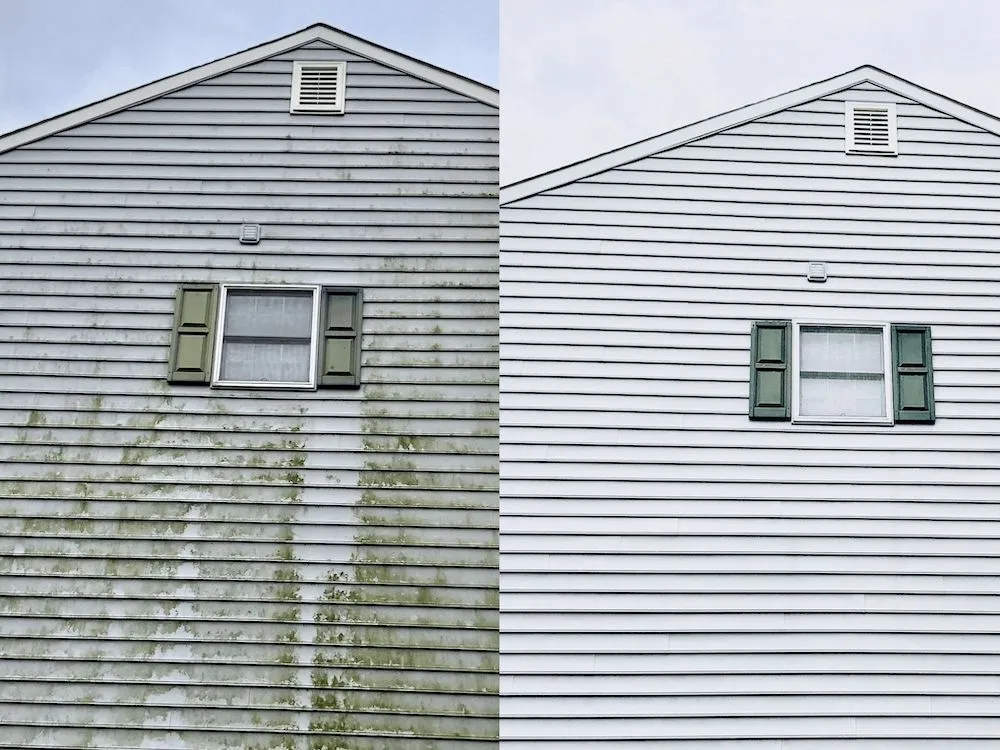 Reliable residential landscaping in Fall Branch, TN - Top Notch Services