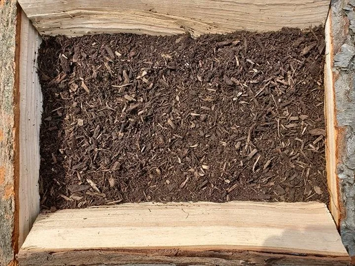 Custom yard cleanup service in Lake Zurich, IL by Top Notch Services