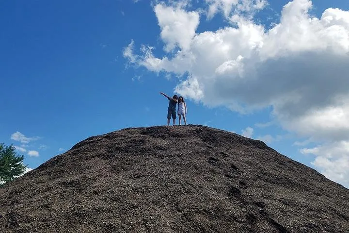 Affordable landscape installation for outdoor upgrades in Lake Zurich, IL by Top Notch Services