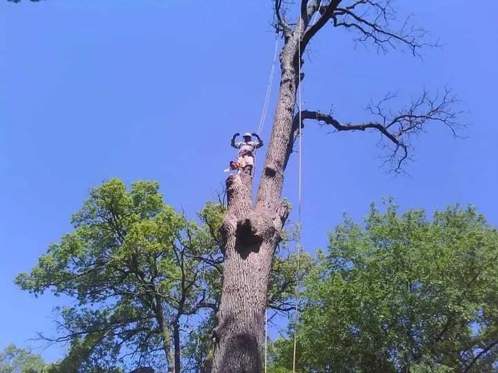 Local landscape design near you across Lake Zurich, IL - Top Notch Services