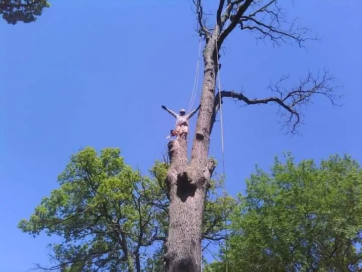 Expert landscape design for beautiful yards in Lake Zurich, IL by Top Notch Services